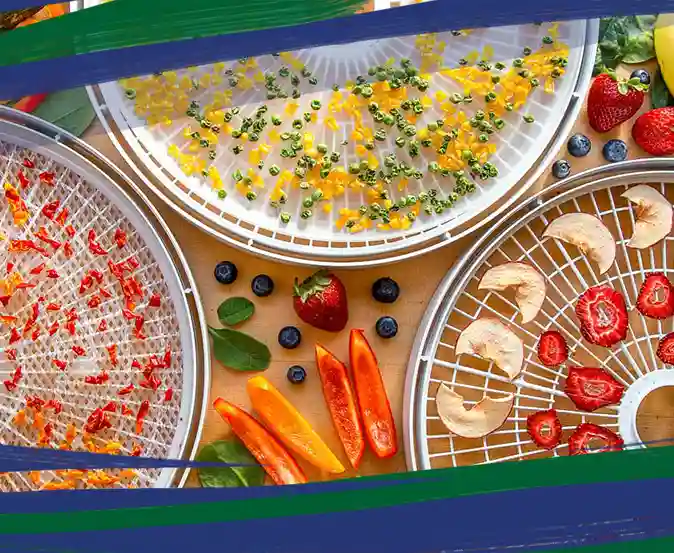Camry CR 6659 Food Dehydrator Instrucțiuni de utilizare | Manualzz