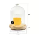 Ziva - Ziva glazen stolp - voor cocktails roken - ⌀12 x H22cm