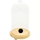 Ziva - Ziva glazen stolp - voor cocktails roken - ⌀12 x H22cm