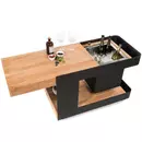 Induplus Iceboy trolley zwart