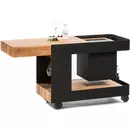 Induplus Iceboy trolley zwart