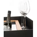 Induplus Iceboy trolley zwart