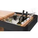 Induplus Iceboy trolley zwart