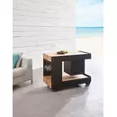 Induplus Iceboy trolley zwart