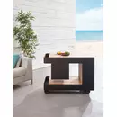 Induplus Iceboy trolley zwart