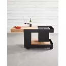 Induplus Iceboy trolley zwart