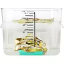 Ziva - sous vide Gewichte - 3Stück - mit Silikonschicht - 510g