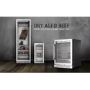 CASO dry-age koeler - DryAged Master 125