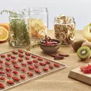 Espressions Smart Food Dehydrator EP5800