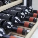 CASO WineSafe 18 EB Inox Built-in Wine Cooler