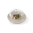 Glazen stolp cloche