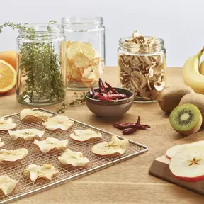 Espressions Smart Food Dehydrator EP5800