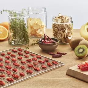Espressions Smart Food Dehydrator EP5800