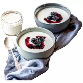 Rommelsbacher yoghurt- en roomkaasmaker JG 80